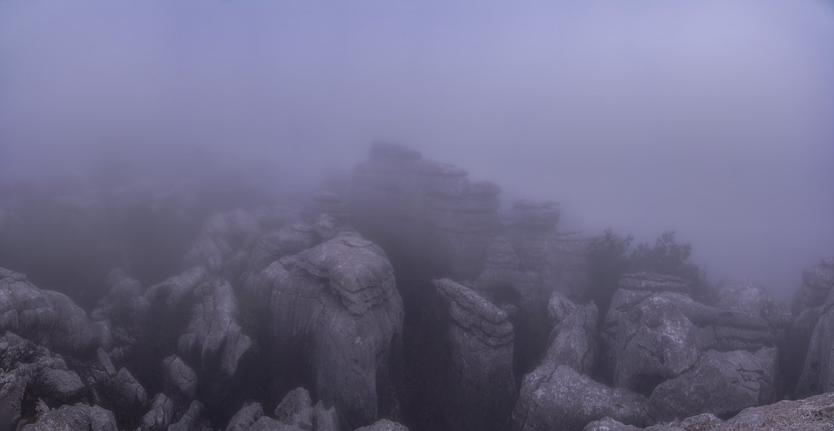 Pedro Mengual tweet media