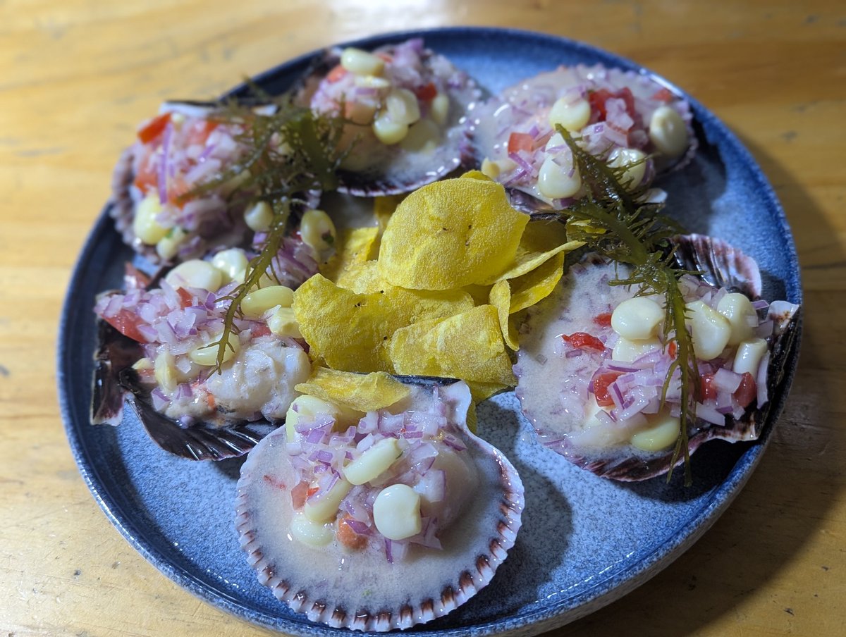 旅丸sho🎒旅する経営者 tweet media