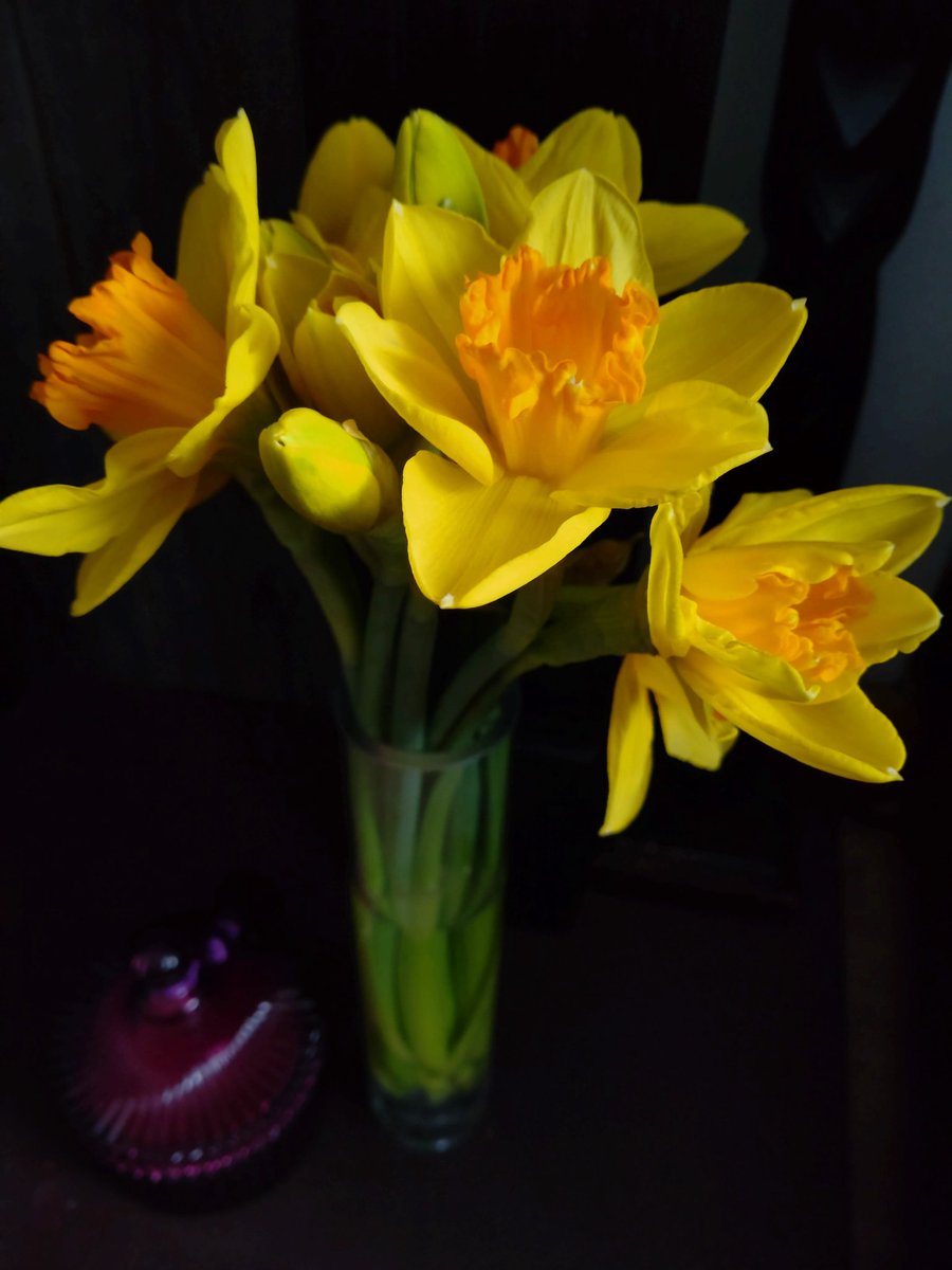 Terisa Kateley tweet media