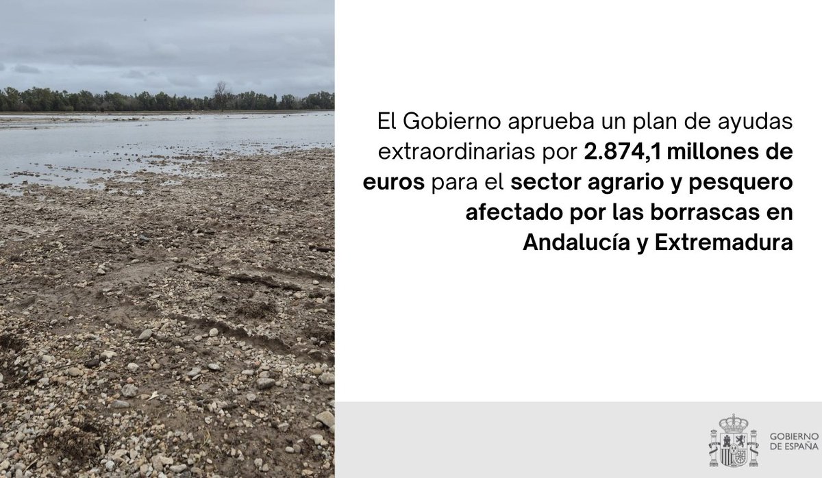 📢 Ya está abierto el plazo para notificar los daños provocados por las borrascas en caminos agrarios y regadíos

📅 Fecha límite: 15 de abril

➡️Se destina un presupuesto de 600 M€ para la reparación de estas infraestructuras

Más información aquí ⬇️
mapa.gob.es/es/prensa/ulti…