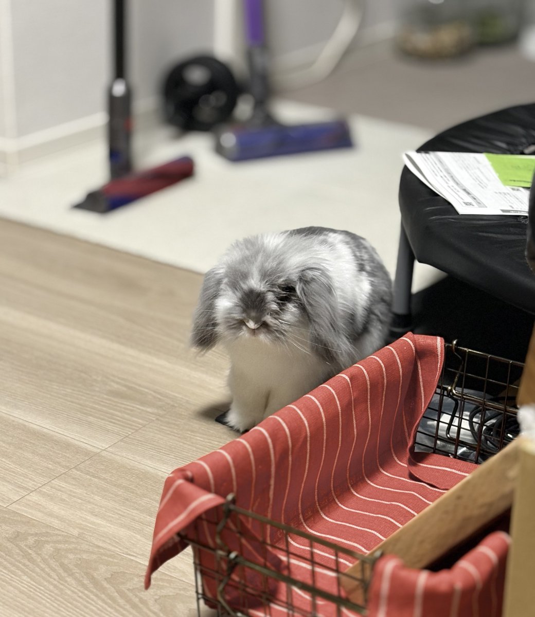 むぅもこ tweet media