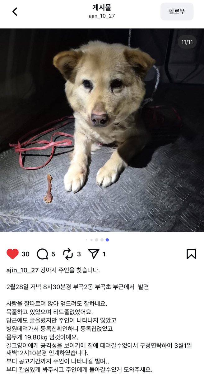 broccoli_Conan's tweet photo. 부산 금정구 부곡동 유기견 주인 찾습니다!! ㅜㅜ 인스타에서 봤는데 내내 웃는 사진이다가 마지막에 구청 인계되니 슬퍼하는 표정이 너무 맘이 쓰여요 .. https://t.co/PvIMlsMfY8