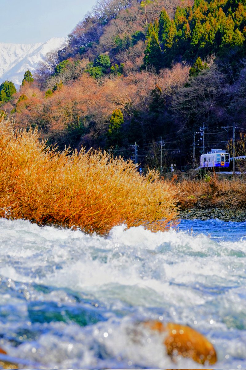 ブーちゃん (@gj5lSm7sYCsZlZP) / Posts / X