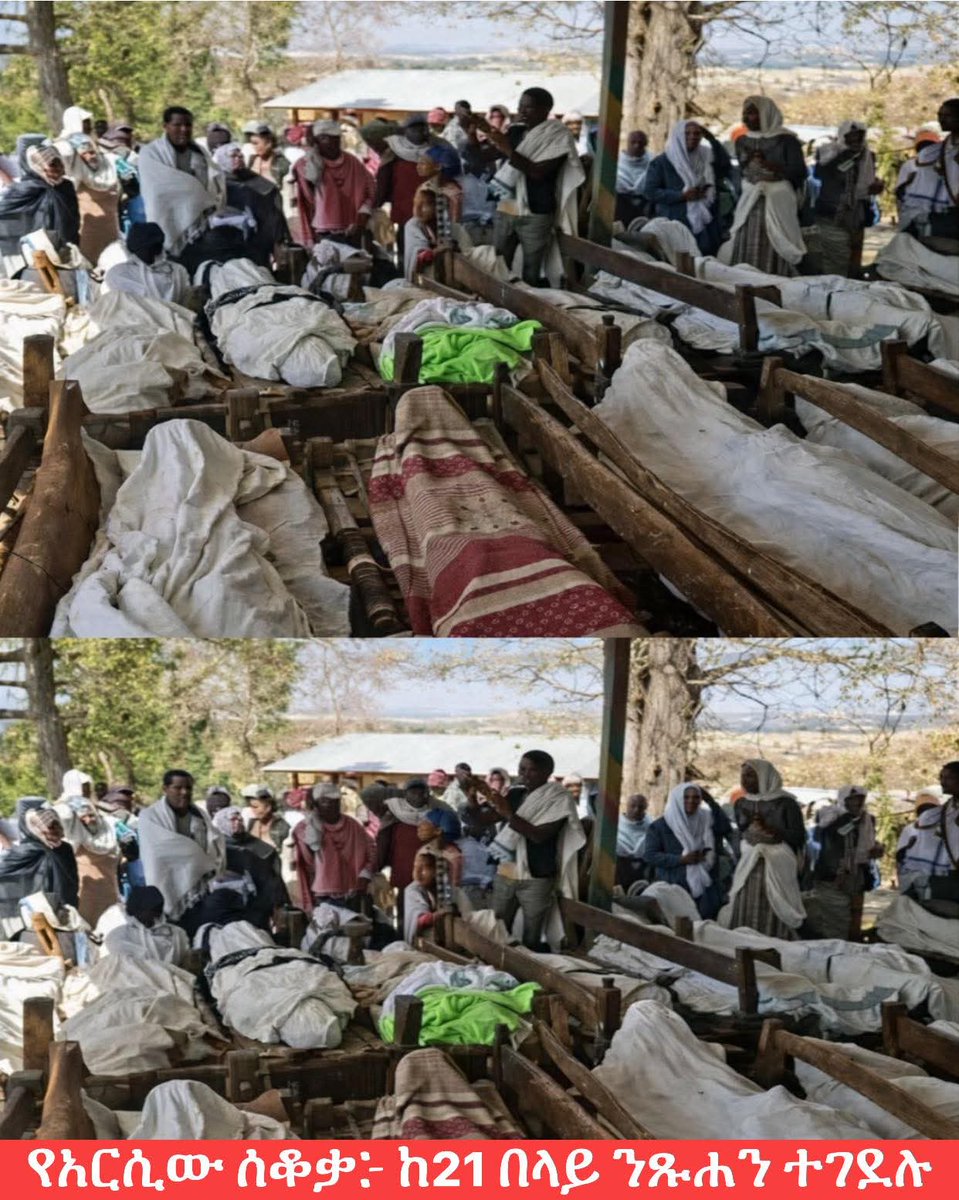 🚨#Ethiopia_ኢትዮጵያ: ተጨማሪ ዐሥር (10) ሰዎች በፅንፈኛው የብልፅግና ሥርዓት ተገድለዋል! በአጠቃላይ ሰሙኑን ብቻ ከሃምሳ በላይ የኦሮሞ ተወላጆች ተጨፍጭፈዋል!

#WarOnOromia
#AmharaConcentrationCamps 
#AmharaGenocide 
#OromiaGenocide
#WarOnTigray
#WarOnEritrea