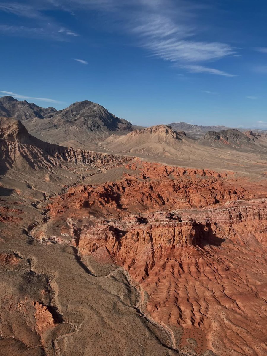 joo been ʚଓ tweet media