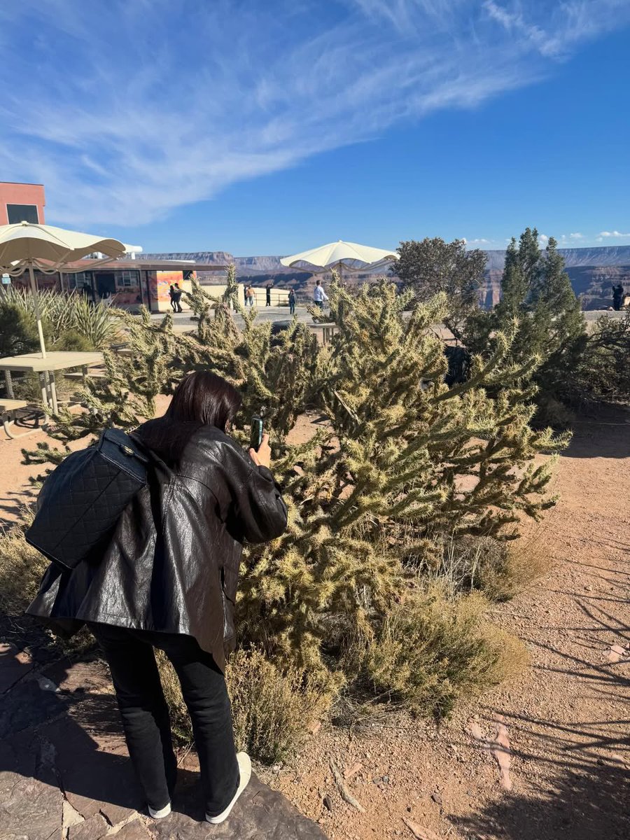 joo been ʚଓ tweet media