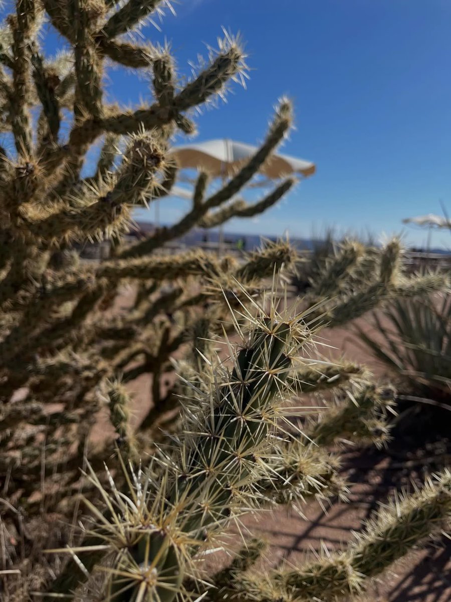 joo been ʚଓ tweet media