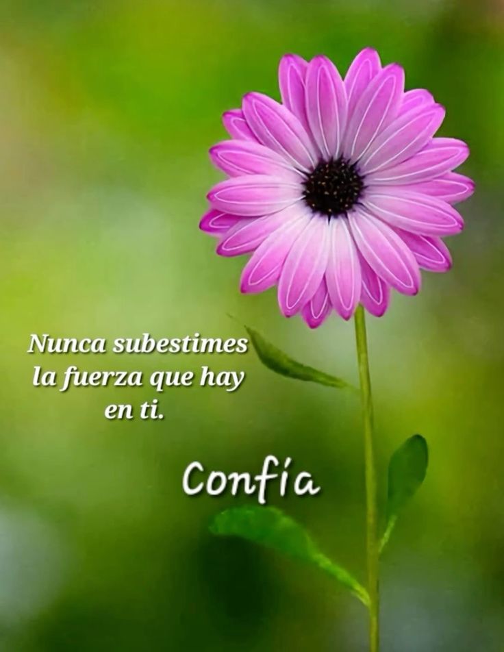 <a href="/themis_mc/">Themis -Mc</a> <a href="/SoloAzul58/">SoloAzul</a> <a href="/Estamos06/">Estamos - Mc</a> <a href="/621Elara/">Elara - Mc</a> <a href="/bel71294/">MabeL</a> <a href="/PetroMareaAzul/">Petro Marea Azul 🦋🦋🦋🦋</a> <a href="/Iria_Celta/">Iria🌸</a> <a href="/1528_elviri/">Elv I🎗️a</a> <a href="/Rogelia50318250/">Rogelia</a> <a href="/Gloria26326305/">GLORIA 💙</a> <a href="/campoy64160/">caballa 🌊💙💦</a> <a href="/sonajitaplatea/">sonajita</a> <a href="/PaisajAzul/">PaisajAzul-Mc</a> <a href="/MariC_07070/">Mari C</a> <a href="/vainilla914664/">vainilla</a> <a href="/SMarea_7/">S.Marea-Mc</a> <a href="/SiempreAzul_6/">Azul-Mc</a> <a href="/NT83631763/">N. T</a> <a href="/arancha2458/">Arancha</a> <a href="/mazcobru/">Conchi AB</a> <a href="/MargotLorenzo2/">Margot Lorenzo</a> <a href="/ClotaTeresa/">Teresa Molina Clota</a> <a href="/tuneadora432/">Santa Paciencia</a> <a href="/AsomadaAlEspejo/">EspejoAzul-Mc💙</a> <a href="/Hortensia380668/">Hortensia</a> <a href="/CarmenAzulAzul/">CarmenAzul-Mc</a> <a href="/VIOLETA1333814/">VIOLETA</a> <a href="/30Lealtad/">Lealtad-MC</a> <a href="/Myrtea64/">Myrtea-MC</a> <a href="/sombras_28/">Sombras-MC</a> <a href="/JusticiDiv/">Justicia</a> <a href="/Sombras6162/">Sombras</a> <a href="/TocaDisfrutar/">TocaDisfrutar-MC</a> <a href="/HastaCuand8/">HastaCuando</a> <a href="/23_fuerza/">FuerzaM</a> <a href="/Amorales_6/">Inmorales</a> <a href="/1Teatreros/">Maka</a> <a href="/karma__62/">karma</a> <a href="/Sombras_25/">Sombras</a> <a href="/Encadenado_2/">Encadenados</a> <a href="/Lluvia_57/">Lluvia</a> <a href="/imperfec23/">Marija</a> <a href="/Seguimos_6/">Seguimos</a> <a href="/Imbatibles_1/">Imbatibles</a> <a href="/IntrigaMax/">Intriga (M.c)</a> <a href="/Imprev_2/">Imprev (M.c)</a> <a href="/karmen618392/">karmen (M.c)</a> <a href="/DocuFarsa/">Farsa (M.c.)</a> <a href="/Imperfect_53/">Imperfecto (M.c.)</a> <a href="/Azucena412130/">Azucena</a> #YoMeRebelo1M 💪
#YoMeRebelo2M
➡️ "𝑵𝒐 𝒕𝒆 𝒅𝒊𝒔𝒎𝒊𝒏𝒖𝒚𝒂𝒔, 𝒏𝒊 𝒎𝒊𝒏𝒊𝒎𝒊𝒄𝒆𝒔 𝒑𝒂𝒓𝒂 𝒆𝒏𝒄𝒂𝒋𝒂𝒓 𝒆𝒏 𝒍𝒂 𝒗𝒊𝒅𝒂 𝒅𝒆 𝒏𝒂𝒅𝒊𝒆".