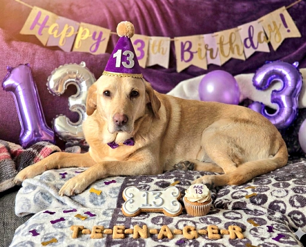 Jon Coupland tweet media