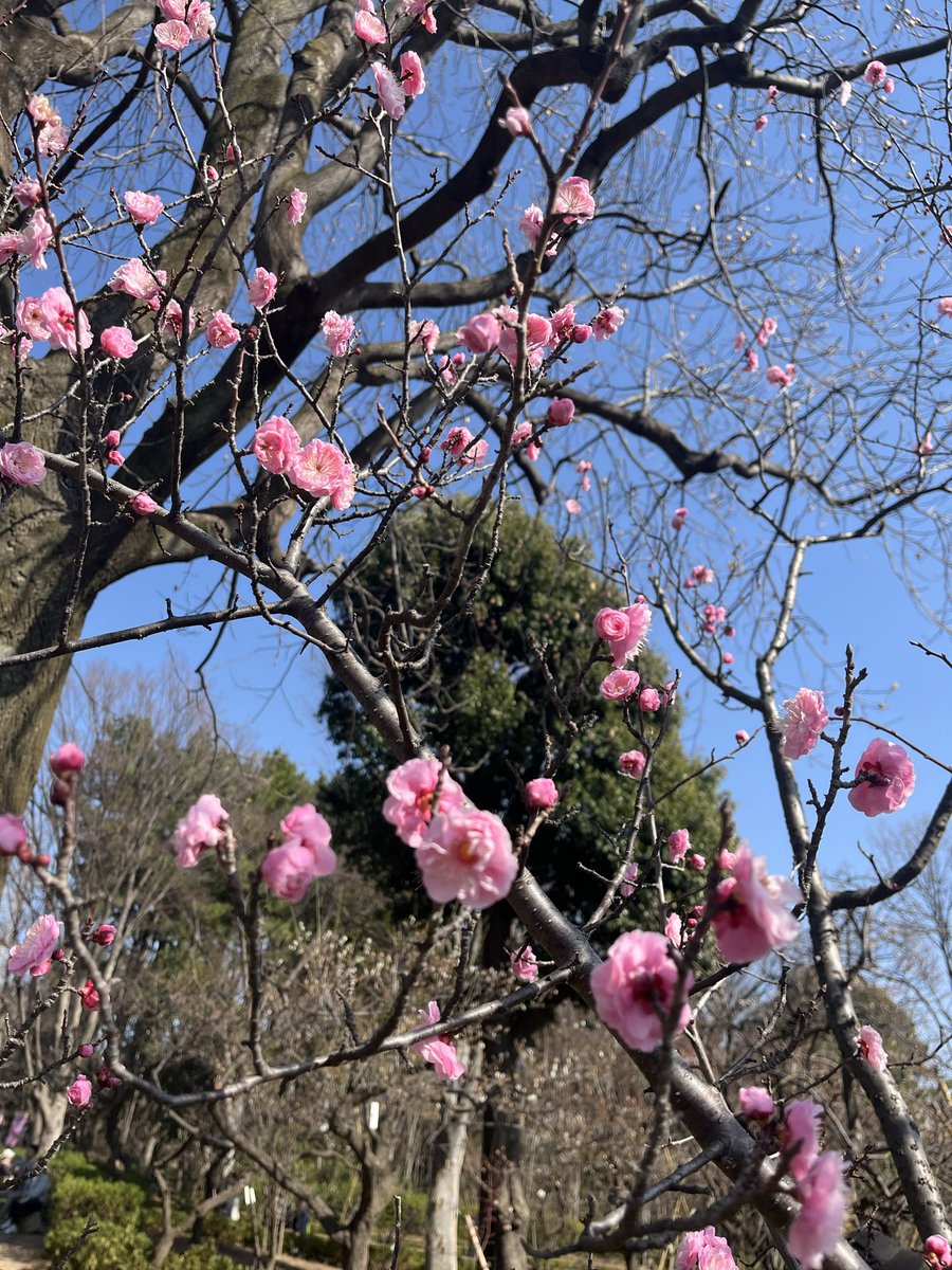 tn3002's tweet photo. 子どもが通うアートクラス。ボランティア募集で、娘が先生のアシスタントに✨地域の子どもたちと交流できるとっても貴重な機会でした。アウトプット、体験を増やしていきたい！ https://t.co/0QJn7QjclE