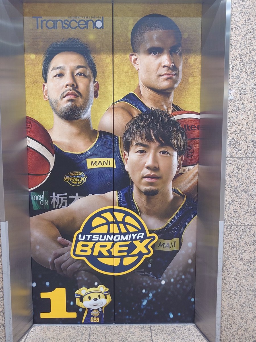 shinono🐨 (@shinono705) / Posts / X