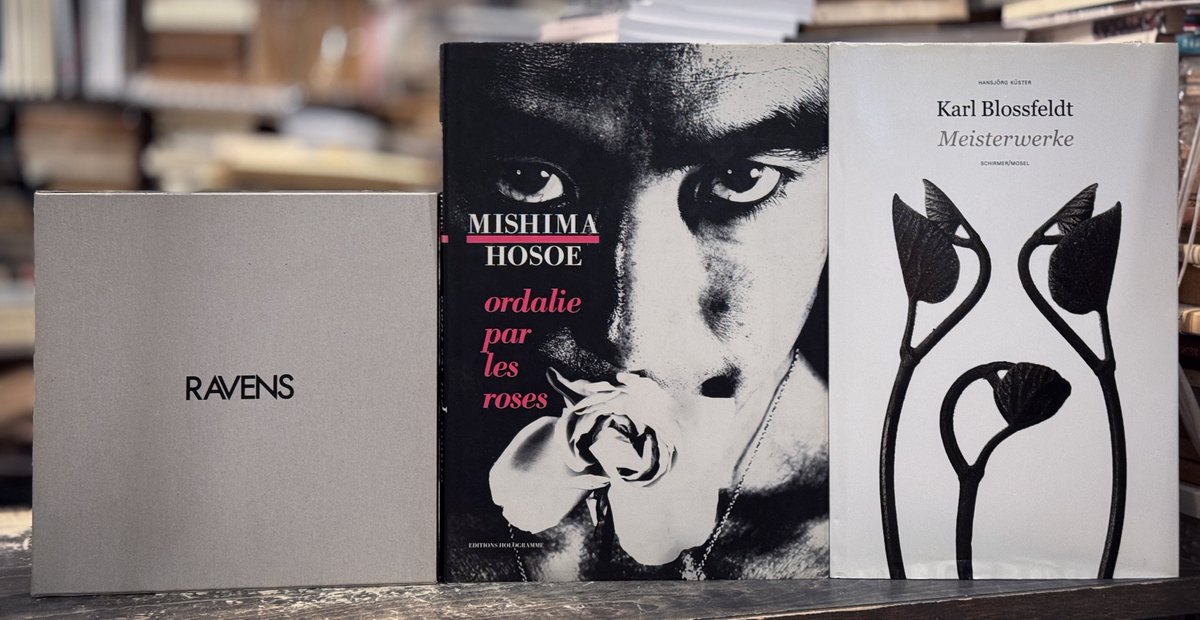 Post by りんてん舎｜詩 短歌 俳句の古本屋 on X: 写真集。