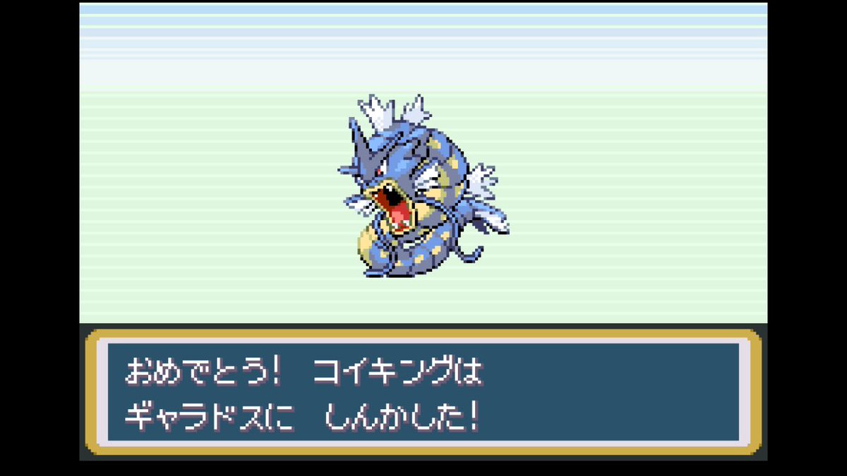 500円で買ったコイキングやっとギャラドスに進化したー！！ ここまで