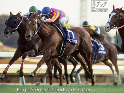 bookjiyucho's tweet photo. ２月28日付で和田竜二騎手が引退しました。
どんな競馬場でも
どんな馬場でも
どんな状況でも
勝てる馬が本当に強い馬。
年間８戦８勝。
そんな馬、果たしてこれから現れるのだろうか。
テイエムオペラオーにはいつも和田竜騎手がいた。
そしてその記憶はこれからもずっと。
ありがとうございました。 https://t.co/q5xcXDRXp0