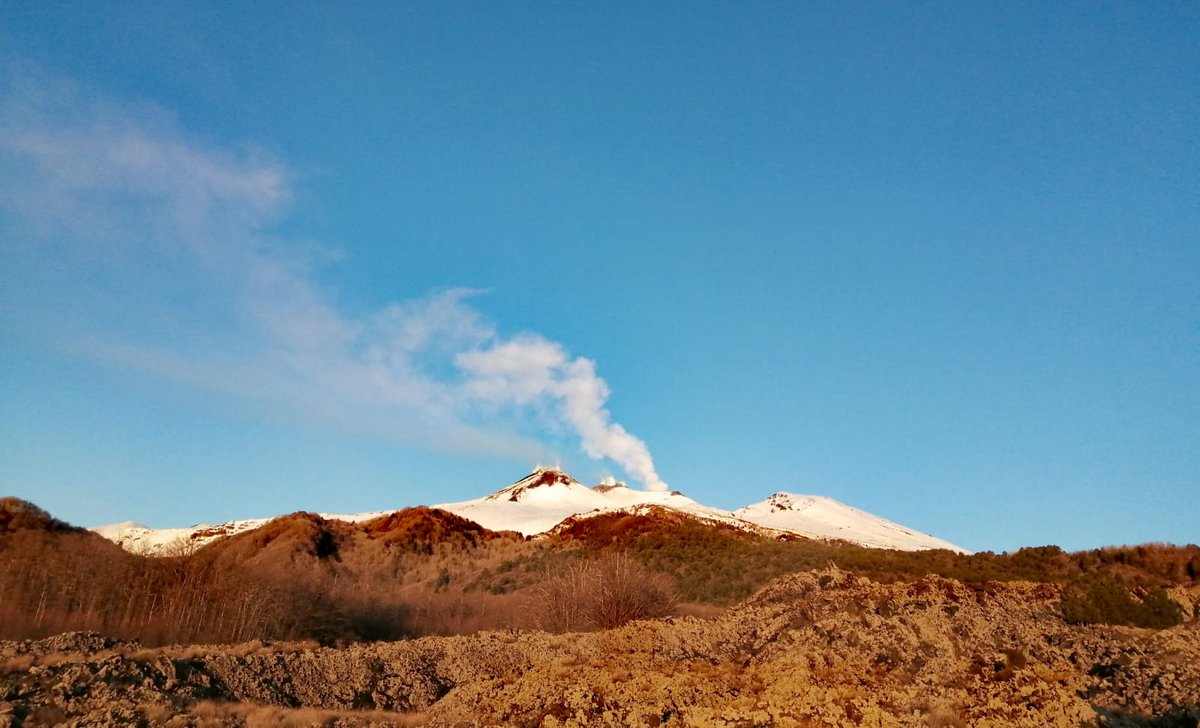 😺😽Maria😽😸 マリア (@mariasikula) on Twitter photo 