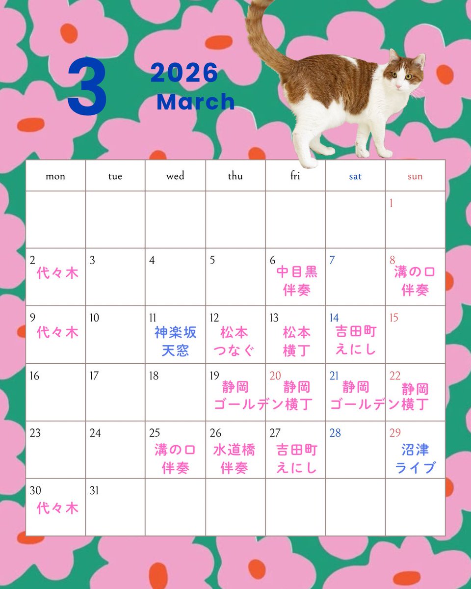 今月のスケジュール🗓️
ピンクが流し、ブルーがライブです🤗