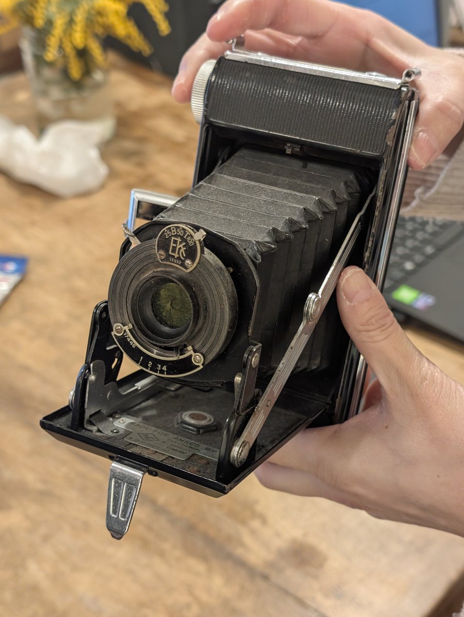 さて。今日はコチラ。まさに今ワタシが嵌ってる蛇腹。純粋に写真作品