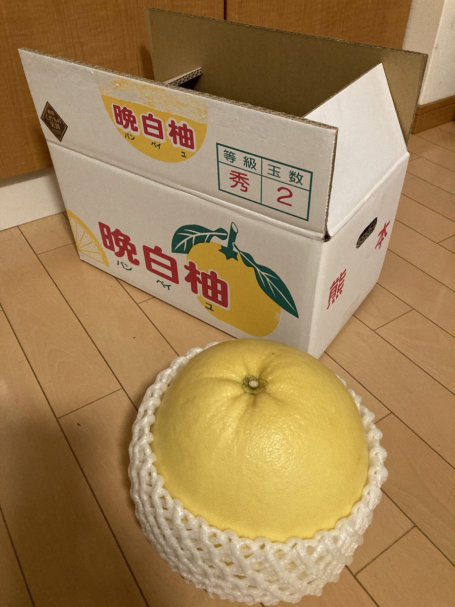maehashi's tweet photo. 熊本に来て15年、初めて晩白柚(ばんぺいゆ)というものを買ってみたが、実は割と酸味が少な目で確かに美味しかった。とにかく大きいので食べ応えがすごい。皮は砂糖漬けに。手間のかかる作業だったが、皮も巨大なので捨ててしまうのも惜しいので。こちらはお茶請けに良さそう。 https://t.co/Vg3sILwXO9