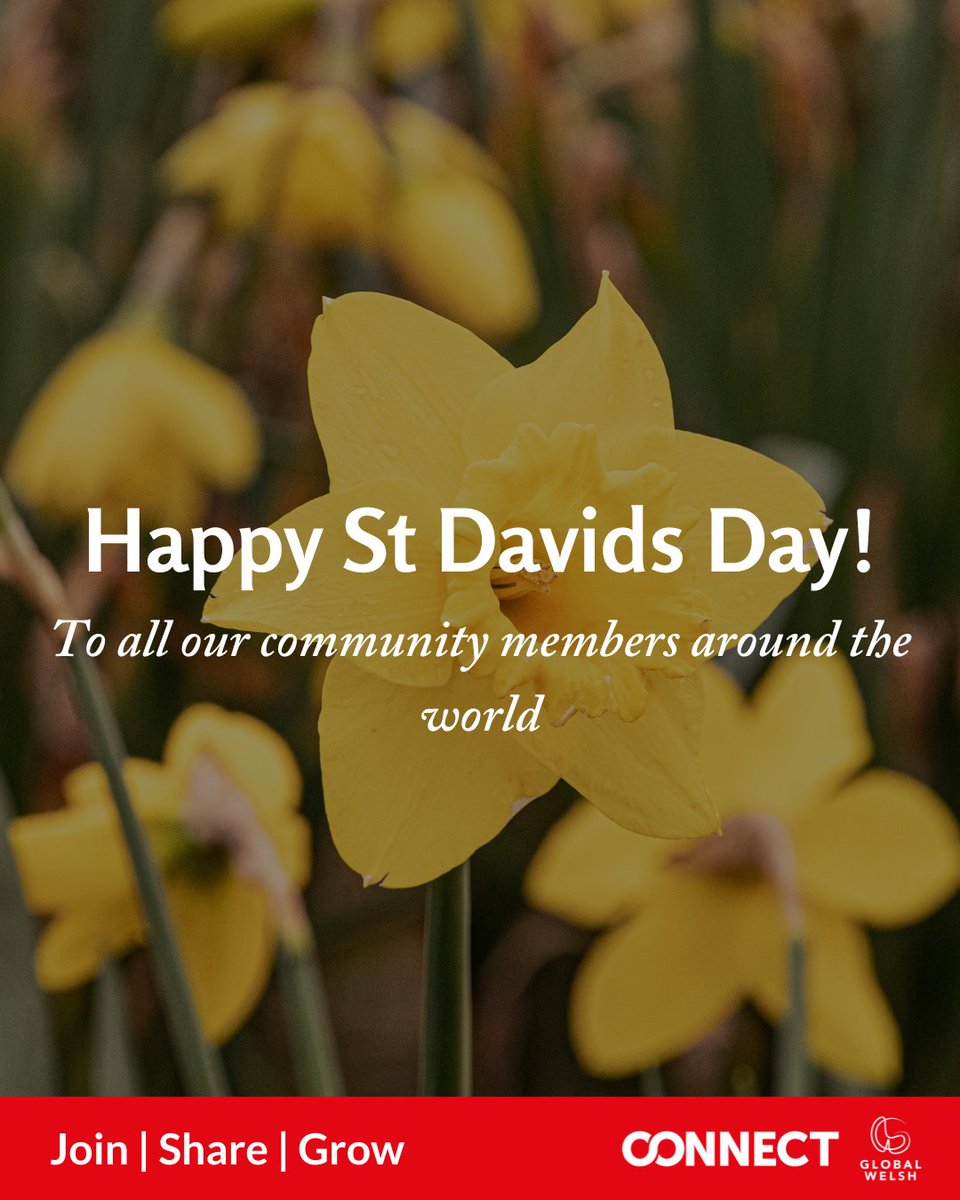 GlobalWelsh tweet media