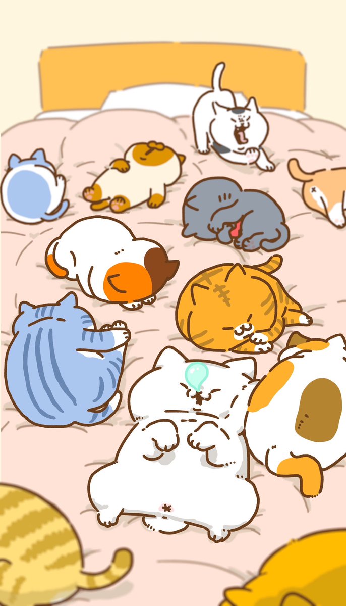 ちくわ (@chikuwa_ttr) / Posts / X