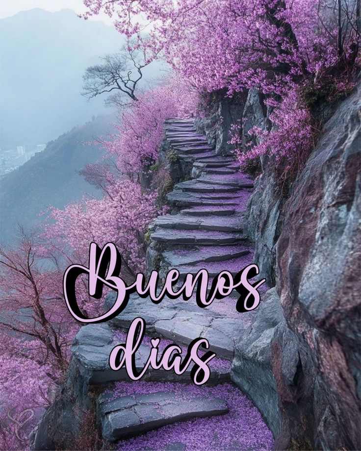 <a href="/li_66/">Lili</a> <a href="/amparosr1/">amparo s r</a> <a href="/MariaA94193/">Maria Carmen Tarrega Alemany</a> Feliz domingo chicas que paséis un lindo día besos 😘😘😘