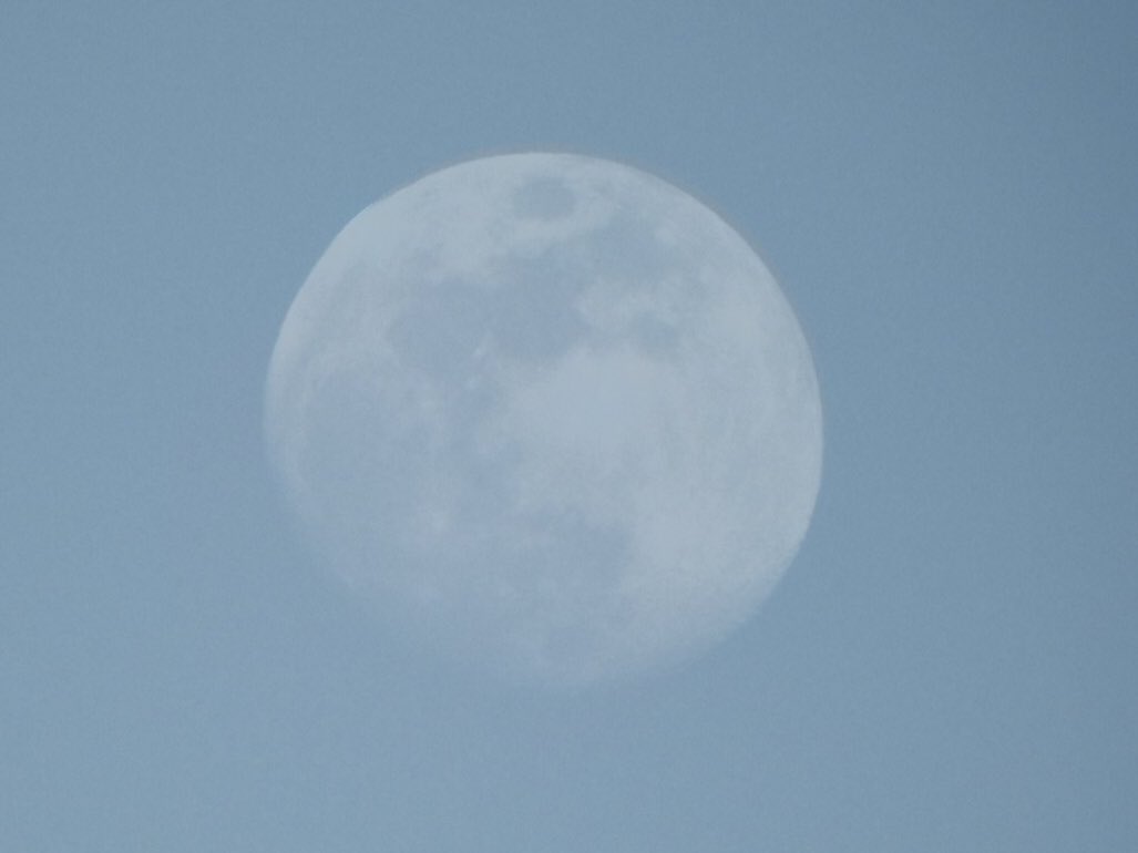 夕方の白い月
3月3日の皆既月食
☂️マーク
赤い月がみたいです。