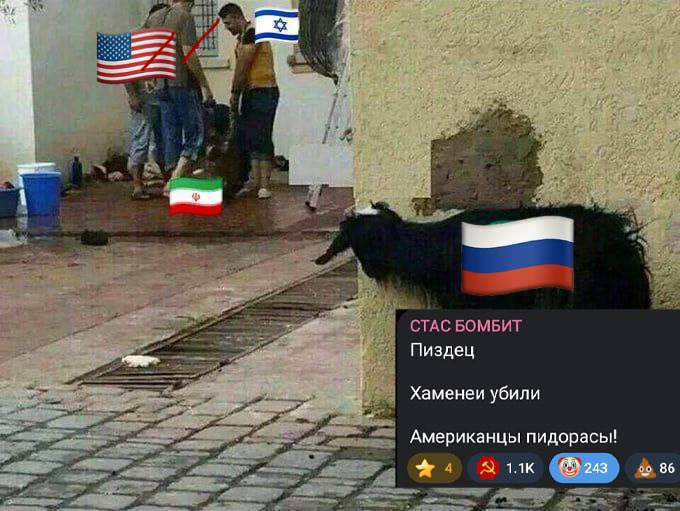 карайло 🤼‍♀️ tweet media