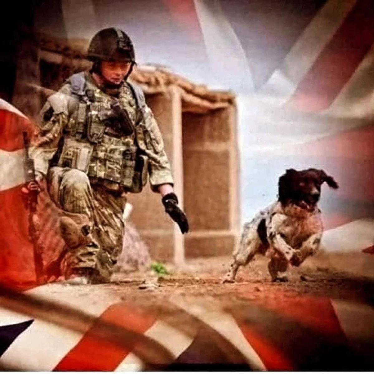 March always brings a bitter sting to the new month 
Today marks the anniversary of Lance Corporal Liam Richard Tasker, from the Royal Army Veterinary Corps, was killed in Afghanistan on Tuesday, 1 March 2011.
Thinking of his amazing family and team today and all days 💔🫡

Lance