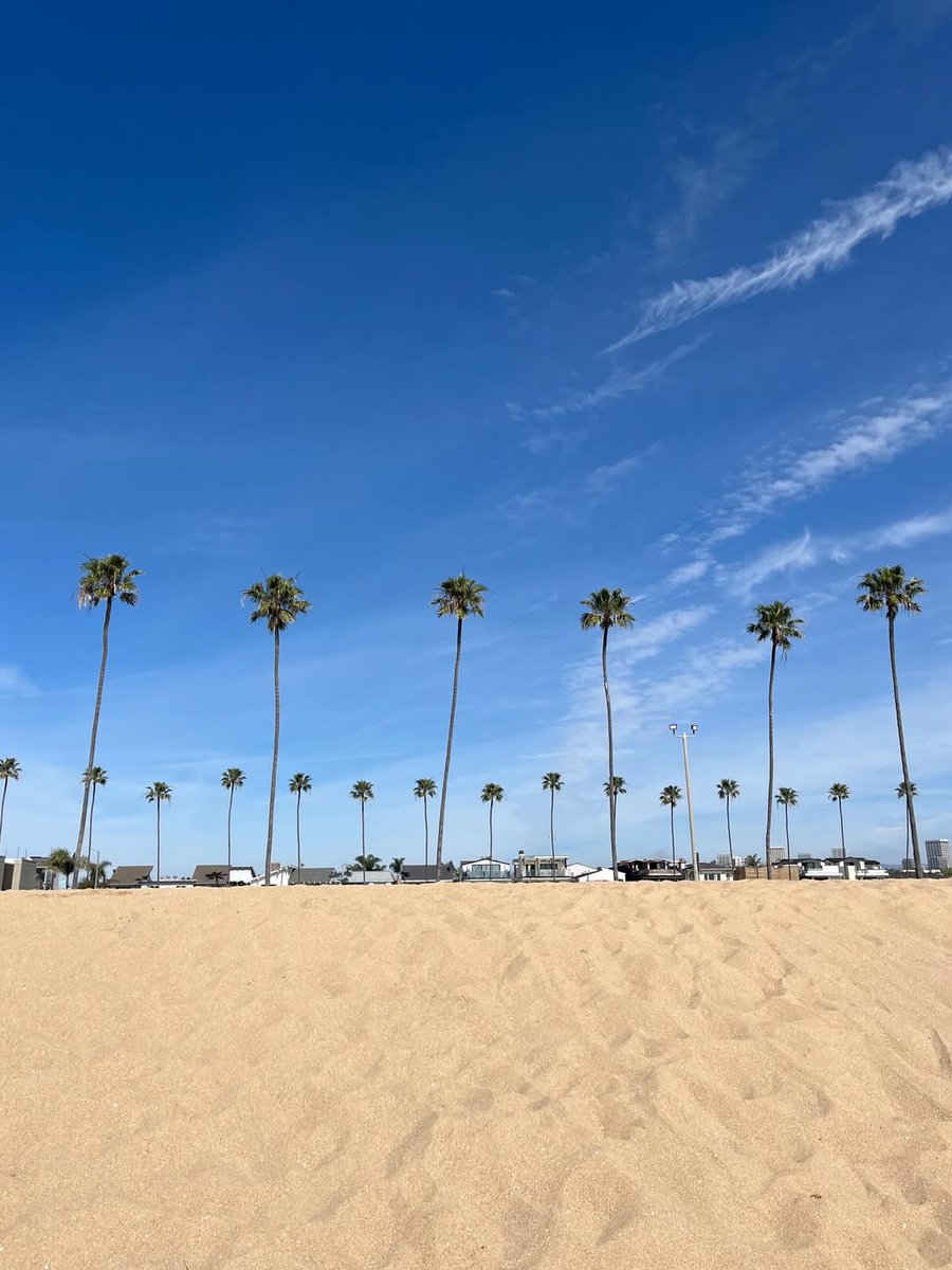 joo been ʚଓ tweet media