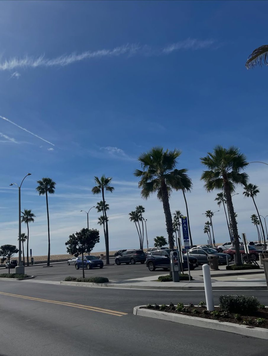 joo been ʚଓ tweet media