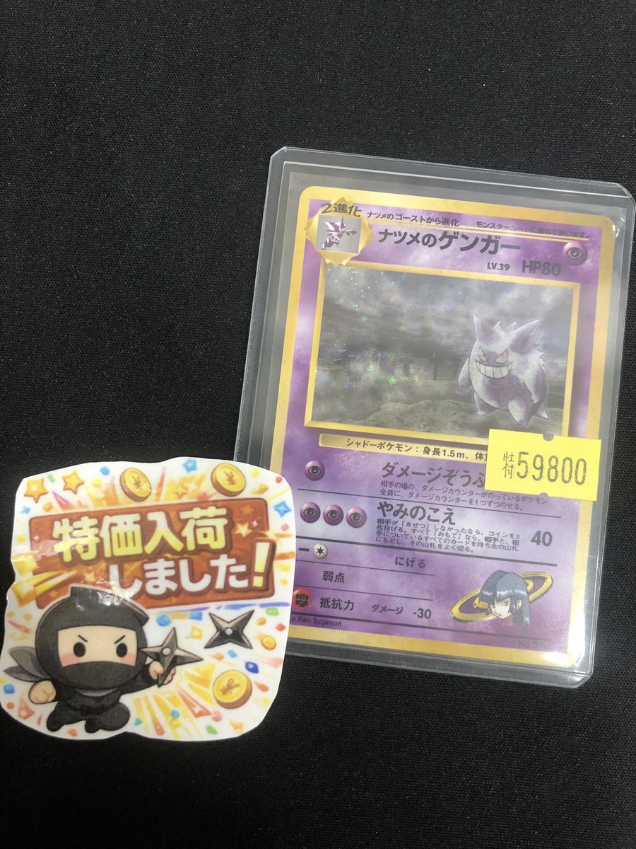 🌟🌟🌟🌟🌟🌟🌟🌟 🌟🌟 新入荷情報