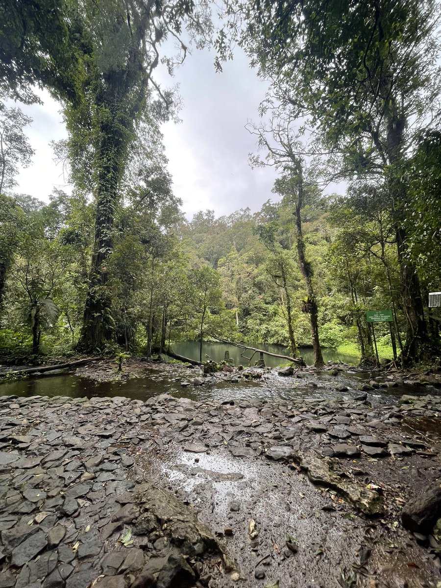 itsreikko's tweet image. #bogor