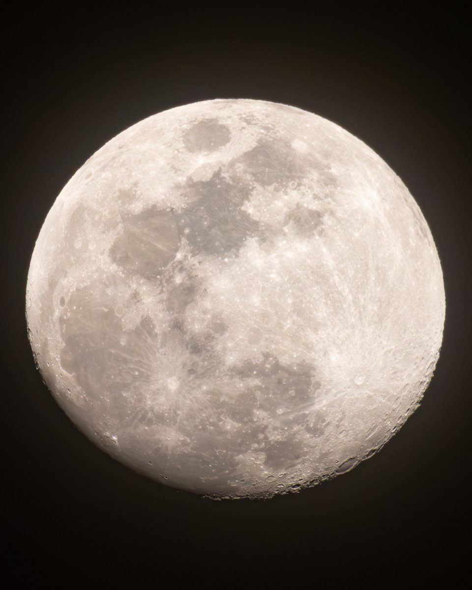 今夜の月です。
東の空から美しい月が昇ってきました。大分まん丸になってきましたね。

3月3日(火)の満月の夜に皆既月食が起こります。
今回は日没後に起こるので、小さなお子さまでも見やすい時間帯ですよ。
お住まいの地域が晴れましたら、月食を楽しみましょう。