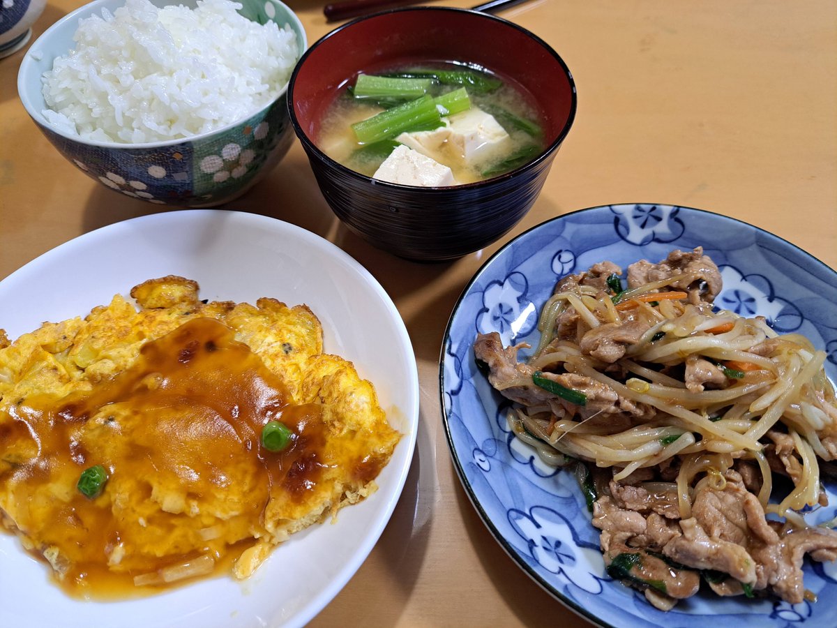 mosquitoos's tweet photo. This is Saturday's dinner: Tenshin-han (crab omelet over rice) and stir-fried bean sprouts.
#dinner
#Japan
#washoku
#Tenshinhan
#sprouts https://t.co/hrvmOXBH9D