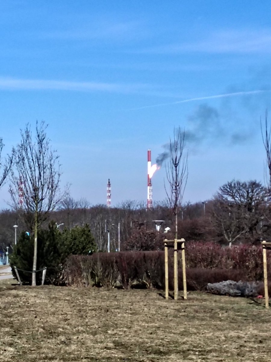 Maciej Miłosz tweet media