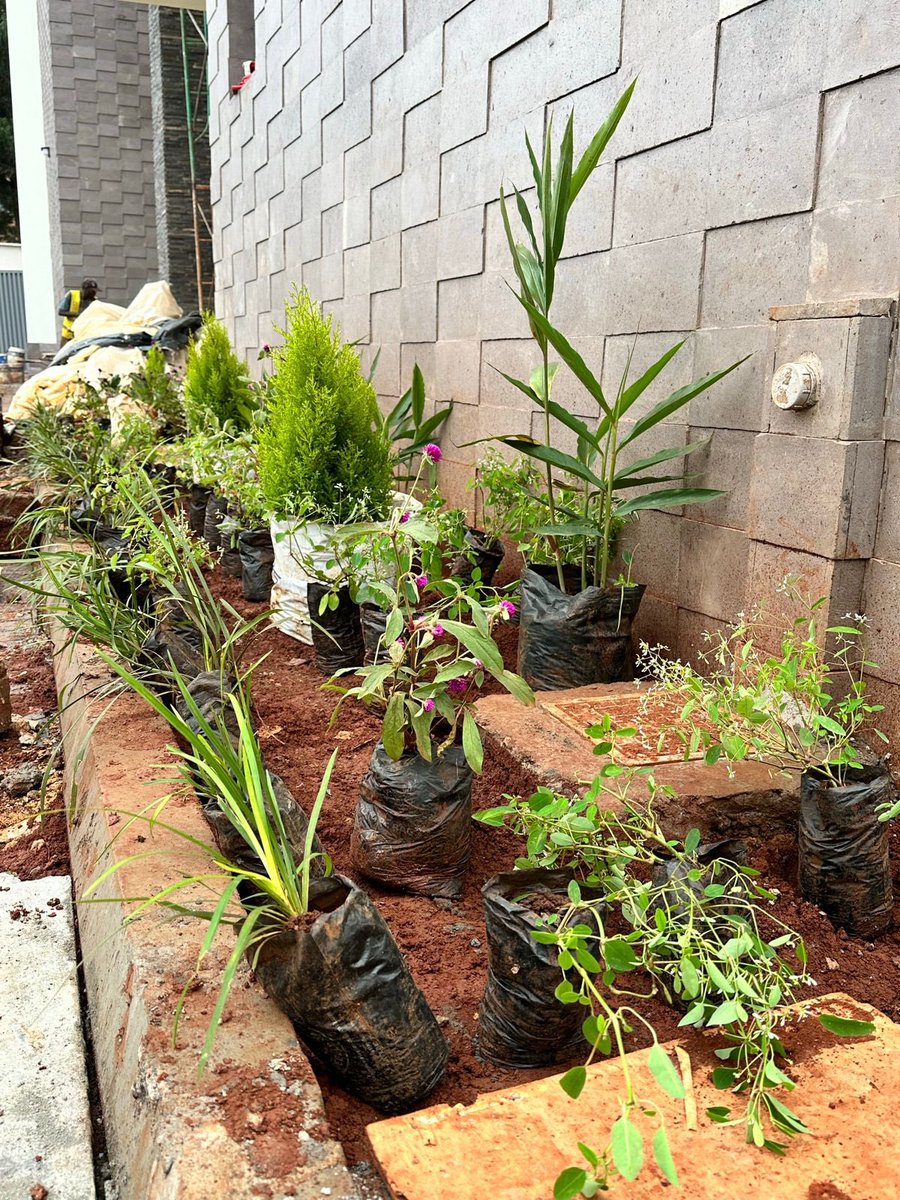 Botanique Designers tweet media