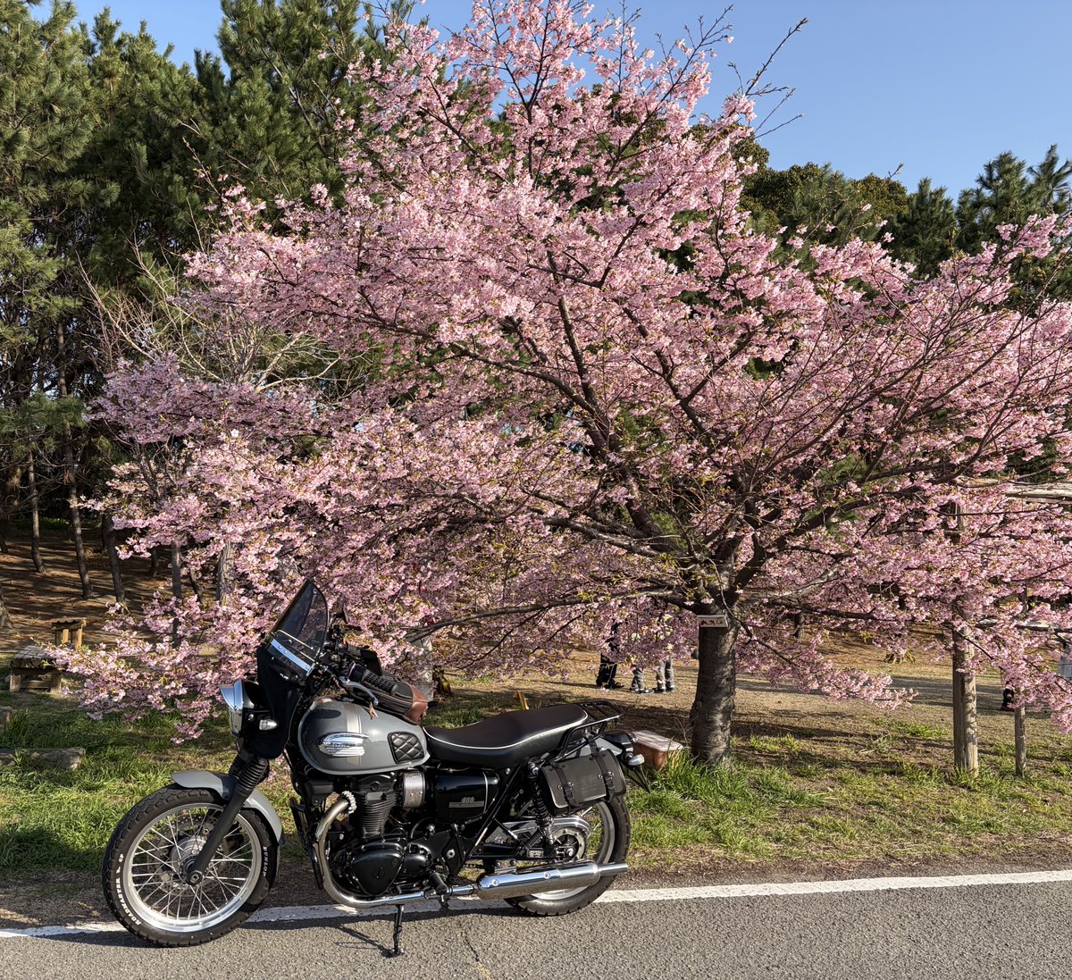 SlowLifeAndRide's tweet photo. 今日は、お花見🌸ツーリングからの雑賀崎アマルフィ、海岸沿いを走ってきました😊
短距離でしたが、ポカポカ陽気で春を感じることが出来ました☺️
最近は、乗れる機会が少なくなってますが、これからもダブハチ君を大事に楽しく走って行きたいです😁
#w800 #バイク好きと繋がりたい https://t.co/FBEZCaINTM
