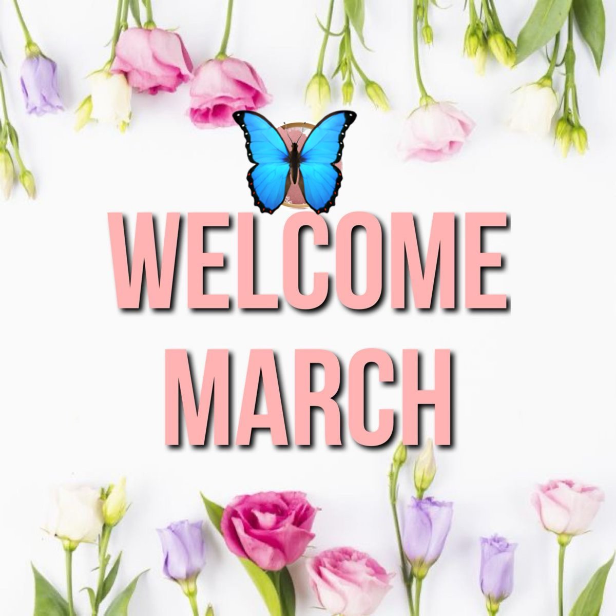 A new chapter in the book of life. 

Make it a good one and look after yourselves 🩷🌸