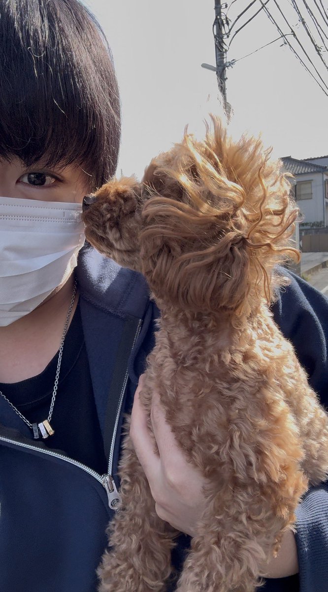2002_0423k's tweet photo. 久々愛犬🫶🏻 https://t.co/R5qlDKinot
