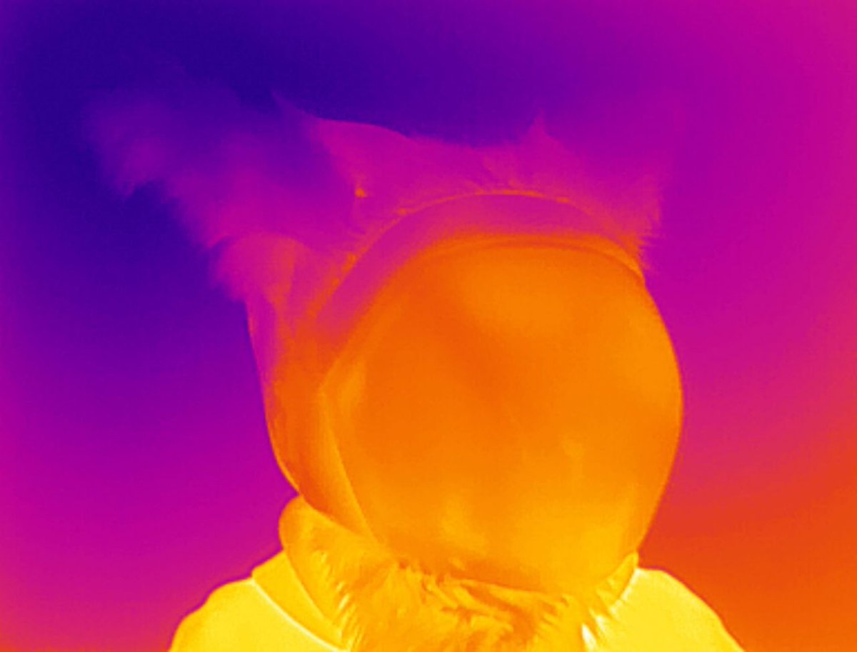 Feronium tweet media