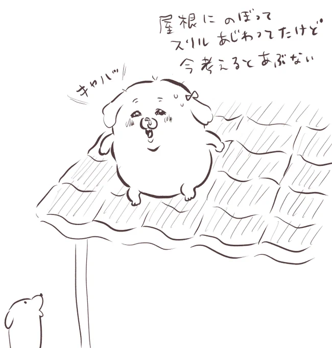昔 