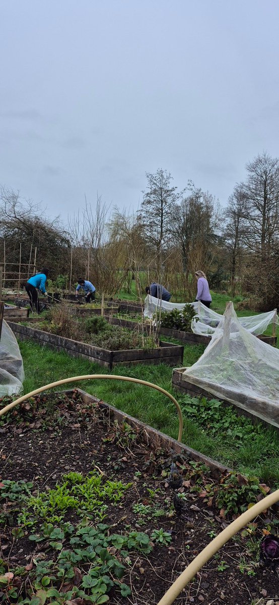 Togher Community Garden tweet media