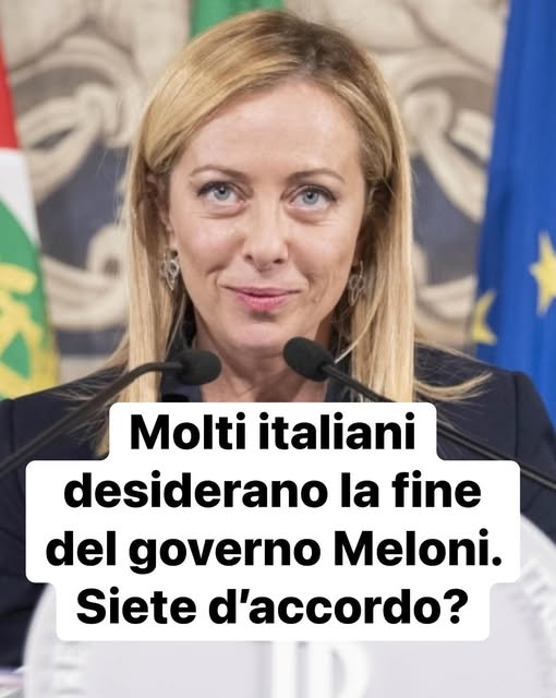 anna quercia tweet media