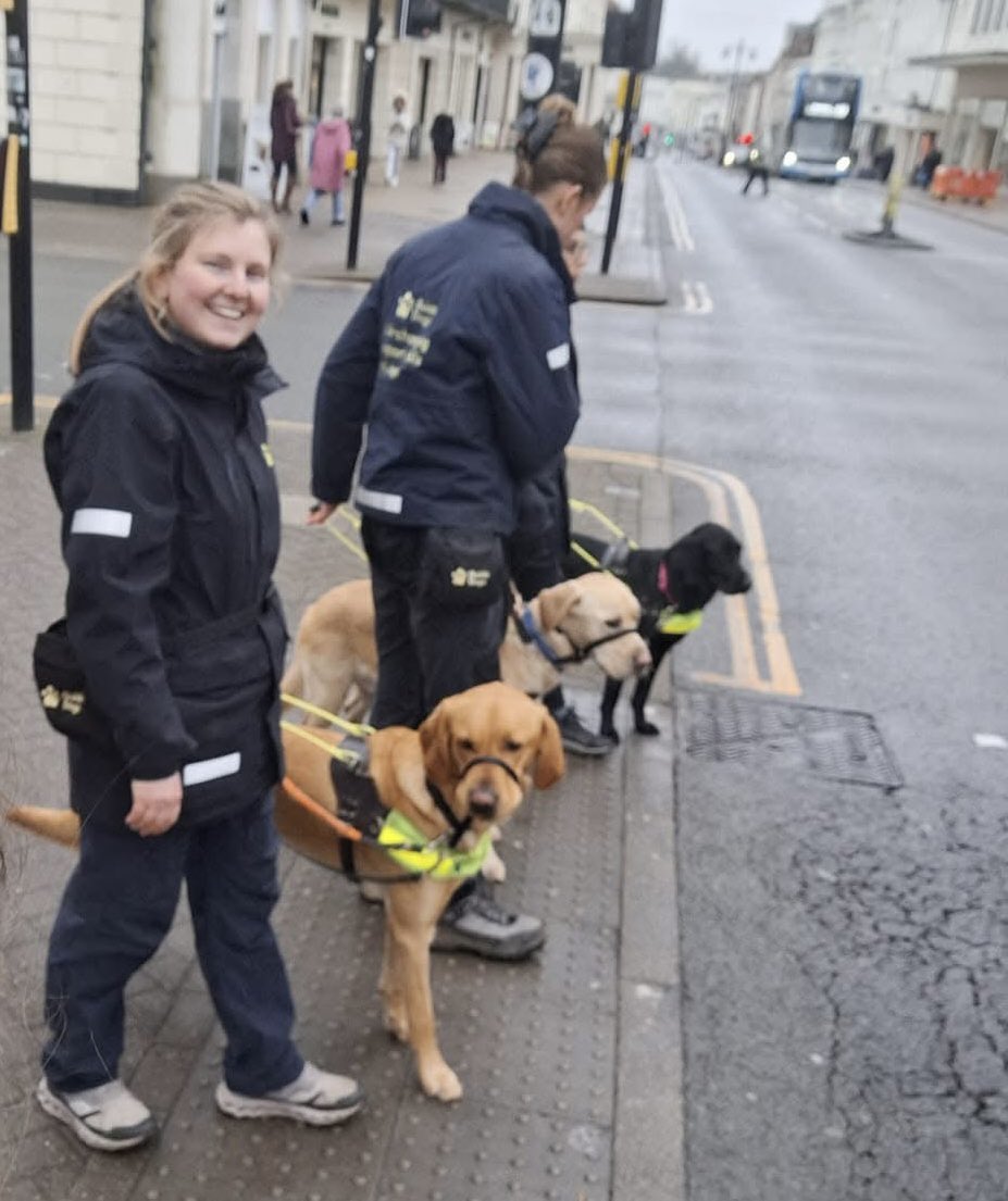 ros_rendle's tweet image. Hi, I’m Ros Rendle and also write as Cara Clayton. My husband and I are qualified to raise guide dog puppies for the blind and Quincey is about to go into advanced training. We also have our own puppy, Ted. 
I write contemporary #feelgood stories as well as historical fiction.