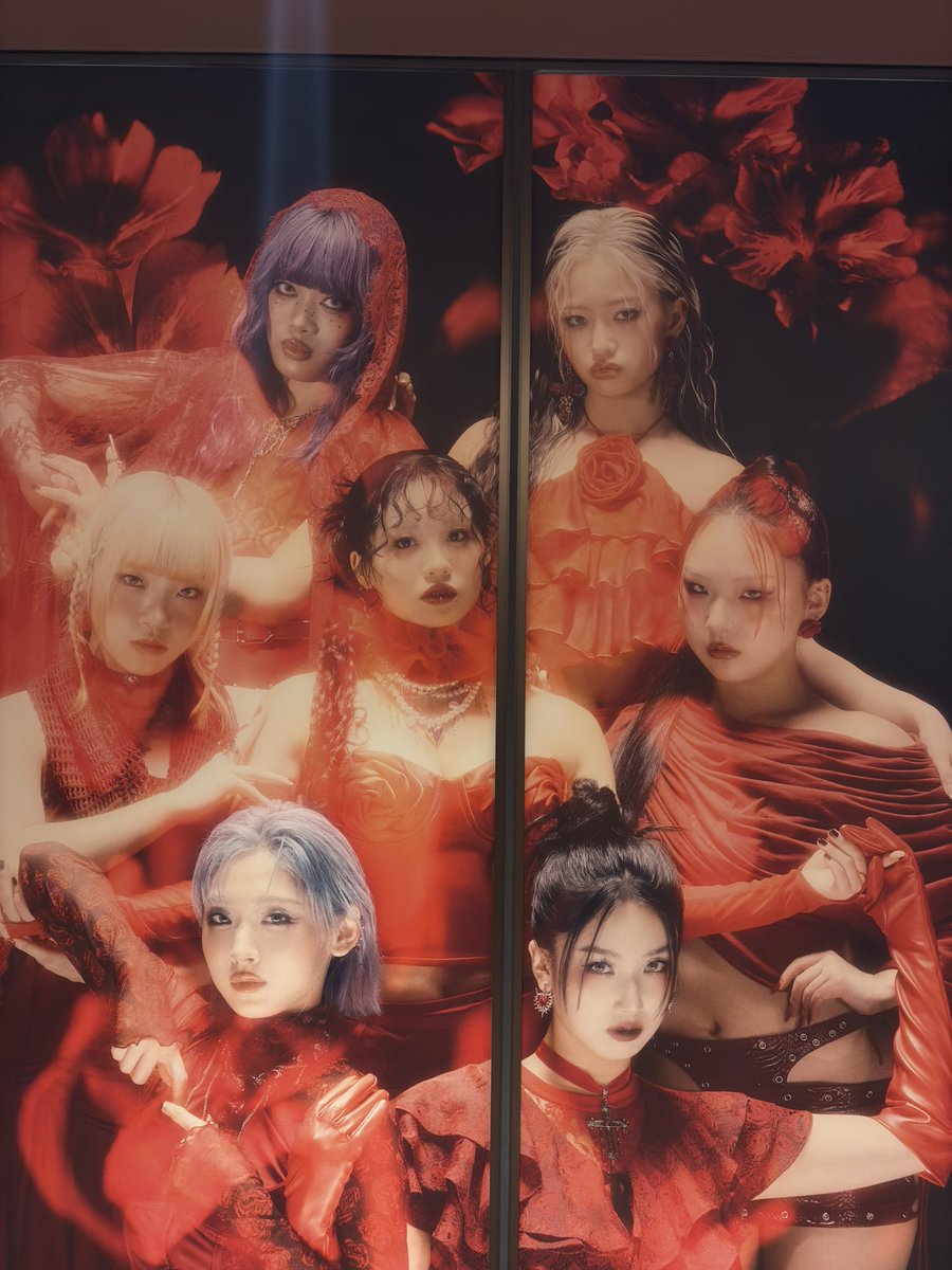 GAWA🐝🌹 tweet media