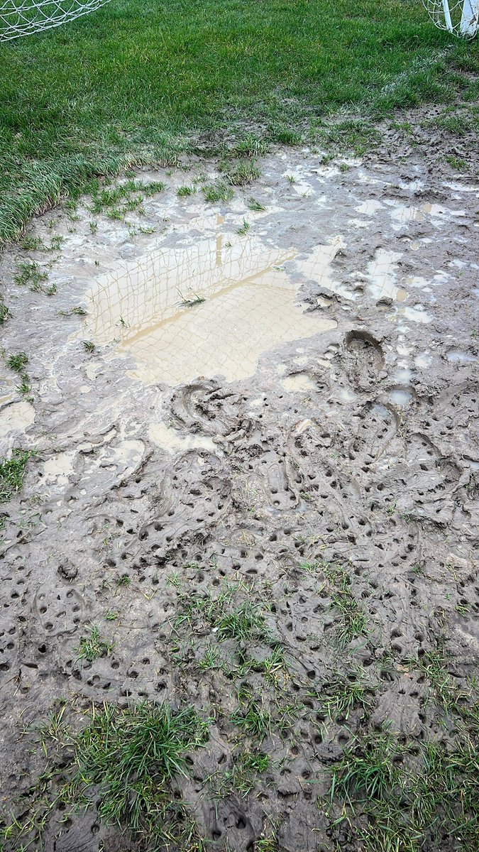 Mayland Village Fc tweet media