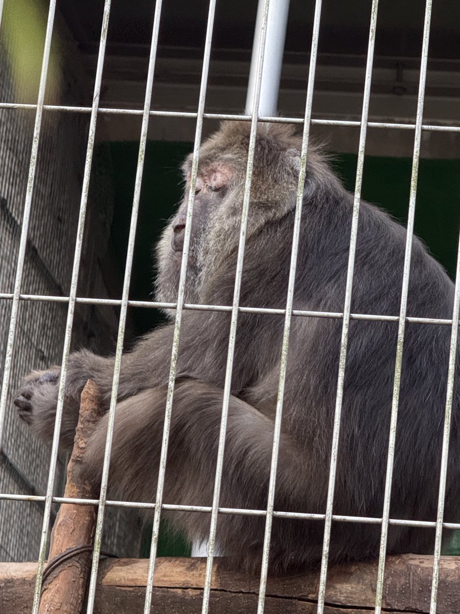 shinobu (@mikage292929) / Posts / X