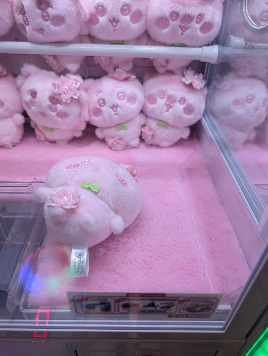 Post by まっちゃ🍵🌸🚑 on X: 🌸