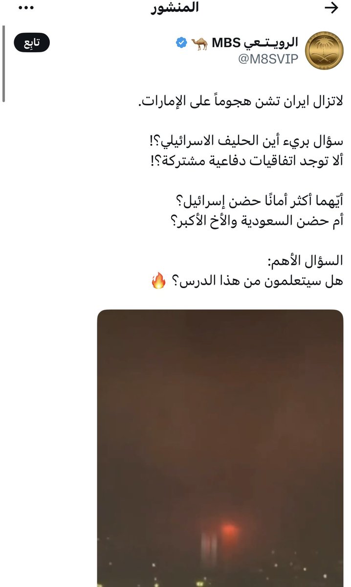 ذئب بريء tweet media