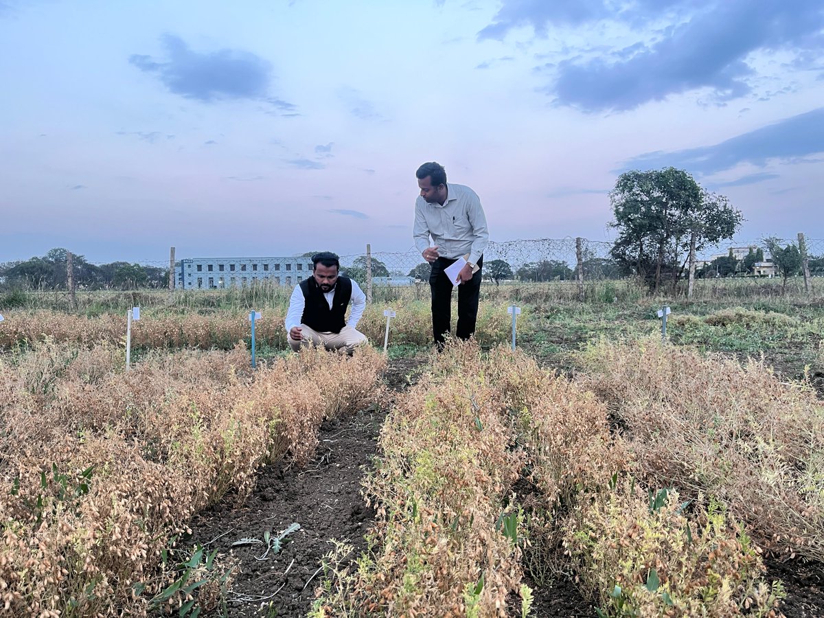 Ashutosh Kumar Yadav tweet media